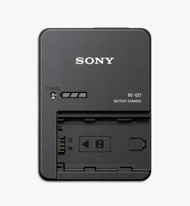 Sony FZ-100 Charger